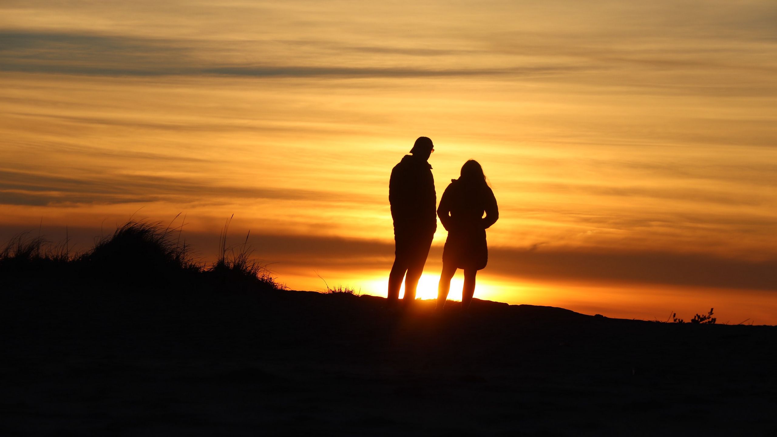 Download wallpaper 2560x1440 couple, silhouettes, outlines, sunset