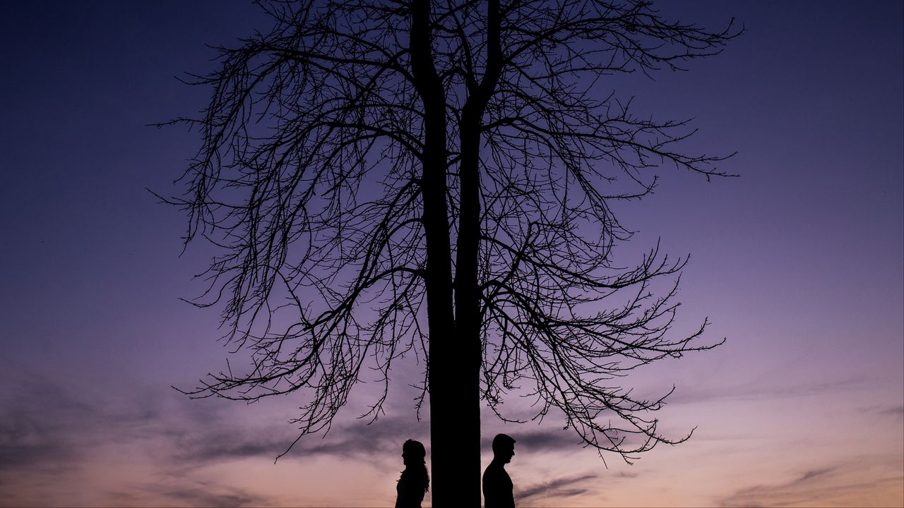 Wallpaper couple, silhouettes, tree