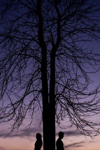Preview wallpaper couple, silhouettes, tree