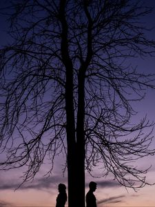 Preview wallpaper couple, silhouettes, tree