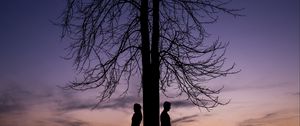 Preview wallpaper couple, silhouettes, tree