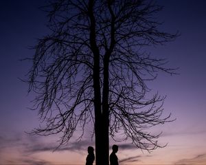 Preview wallpaper couple, silhouettes, tree