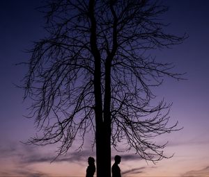 Preview wallpaper couple, silhouettes, tree