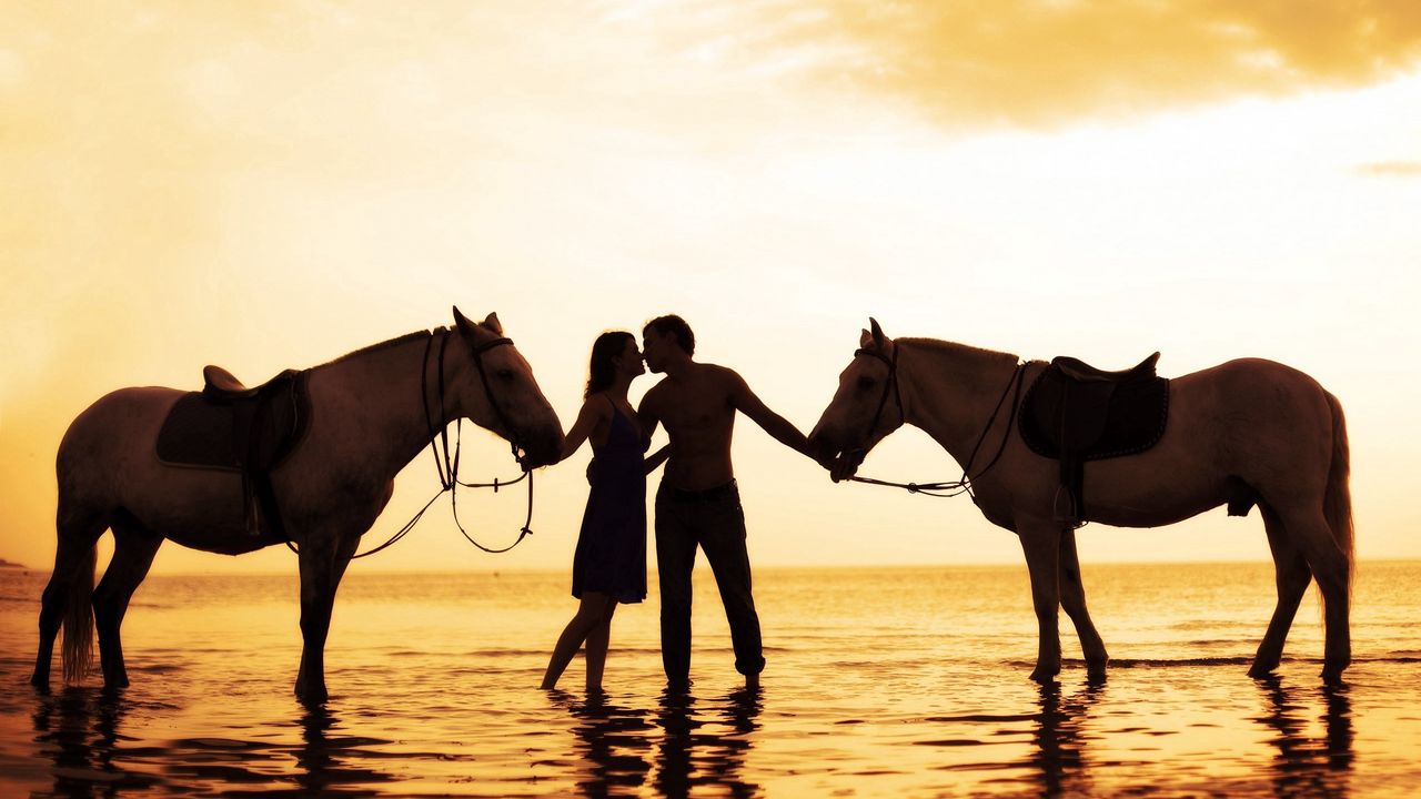 Wallpaper couple, sunset, sea, tenderness, horses, romance