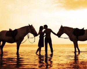 Preview wallpaper couple, sunset, sea, tenderness, horses, romance