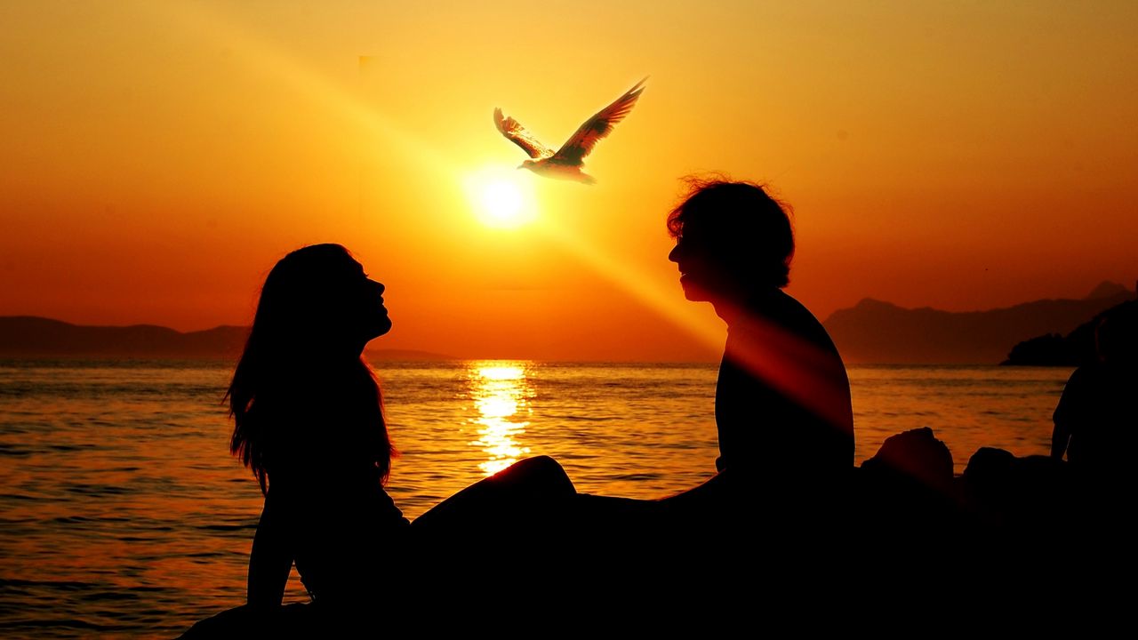 Wallpaper couple, sunset, sea, birds