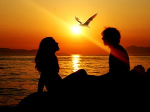 Preview wallpaper couple, sunset, sea, birds