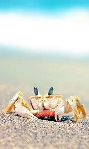 Preview wallpaper crab, sand, waves, splashes