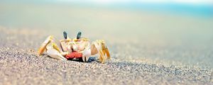 Preview wallpaper crab, sand, waves, splashes