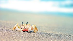 Preview wallpaper crab, sand, waves, splashes