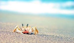 Preview wallpaper crab, sand, waves, splashes