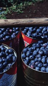 Preview wallpaper cranberries, buckets, berry