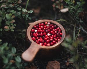 Preview wallpaper cranberry, berry, fruit, grasses, plant