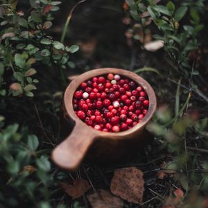 Preview wallpaper cranberry, berry, fruit, grasses, plant