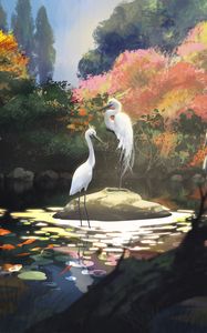 Preview wallpaper cranes, birds, pond, art