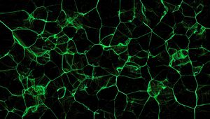 Preview wallpaper cranny, glow, green, black, lines, abstraction