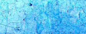 Preview wallpaper cranny, paint, texture, blue