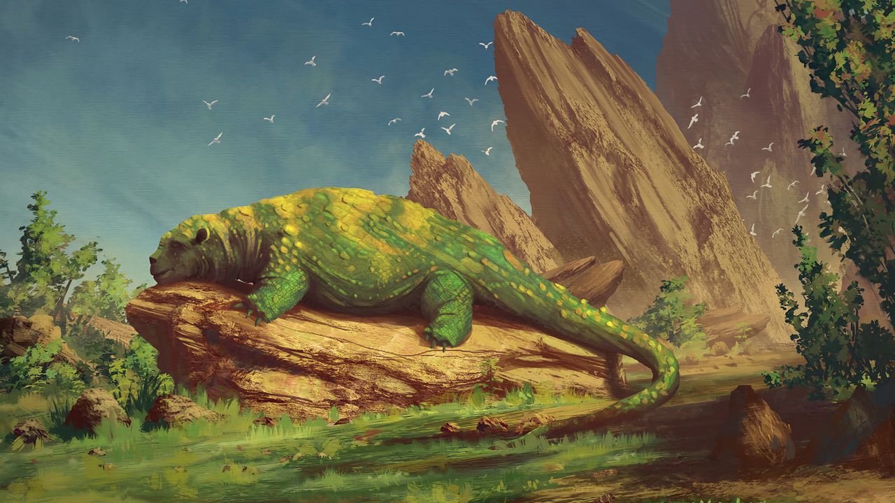 Wallpaper creature, beast, green, stone, lies, sleeps