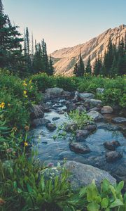 Preview wallpaper creek, flowers, mountains, grass