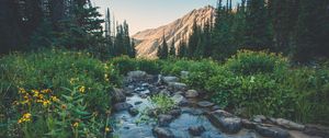 Preview wallpaper creek, flowers, mountains, grass