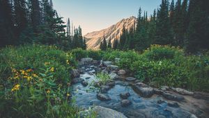 Preview wallpaper creek, flowers, mountains, grass