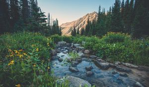 Preview wallpaper creek, flowers, mountains, grass