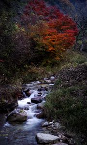 Preview wallpaper creek, stones, water, nature