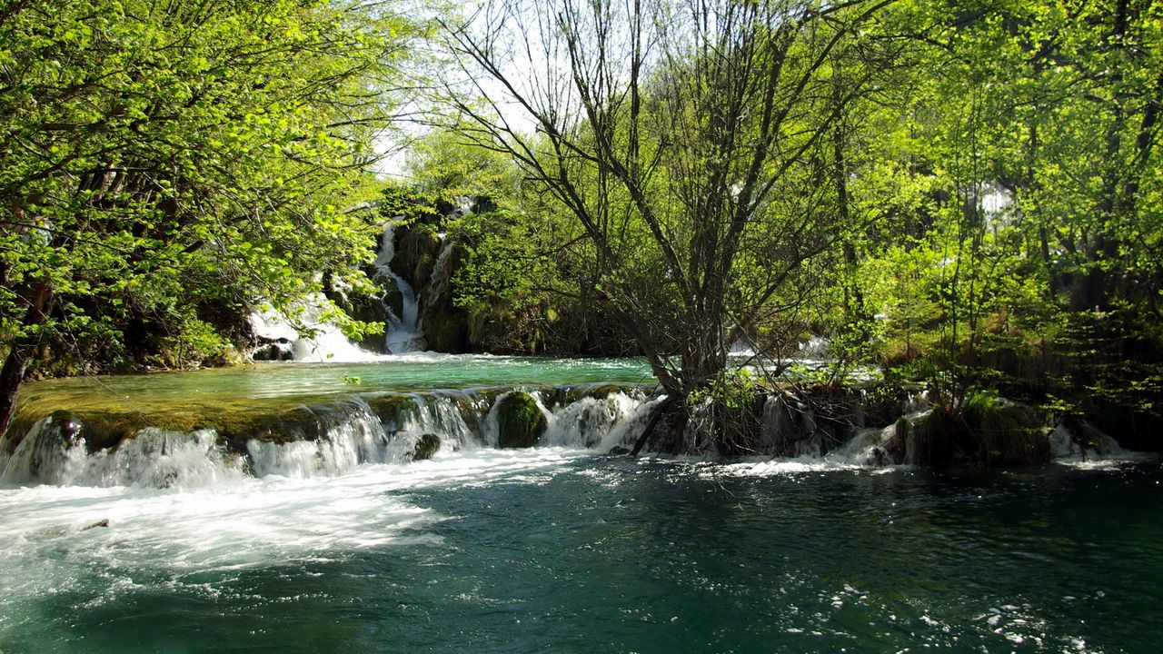 Wallpaper croatia, river, falls, trees, clearly, summer