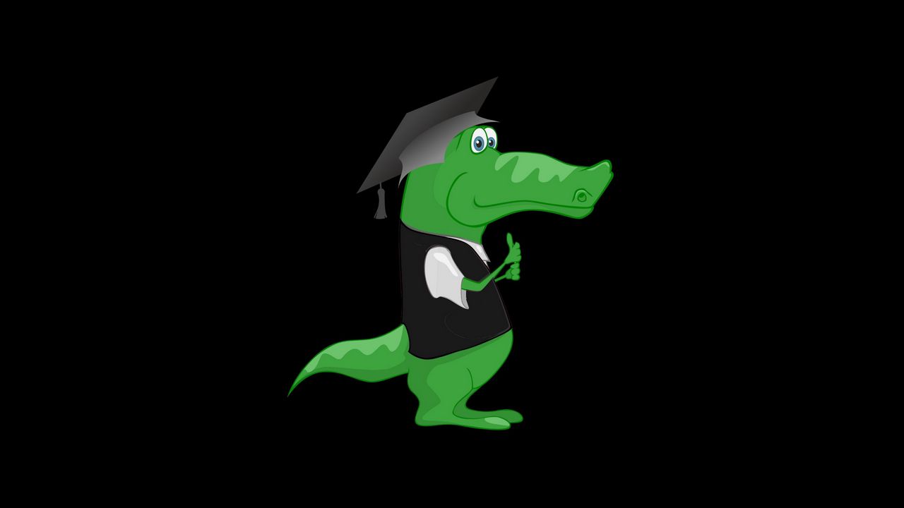 Wallpaper crocodile, hat, student, art, funny