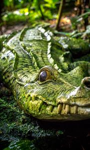 Preview wallpaper crocodile, reptile, green