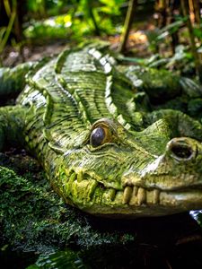 Preview wallpaper crocodile, reptile, green