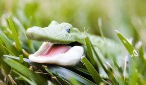 Preview wallpaper crocodile, toy, grass, face, smile