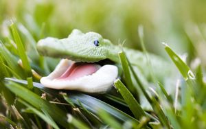 Preview wallpaper crocodile, toy, grass, face, smile