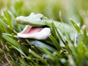 Preview wallpaper crocodile, toy, grass, face, smile