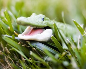 Preview wallpaper crocodile, toy, grass, face, smile