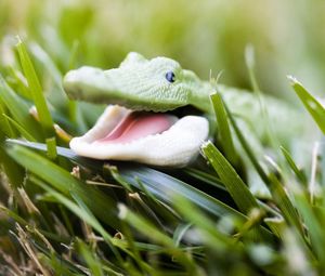 Preview wallpaper crocodile, toy, grass, face, smile