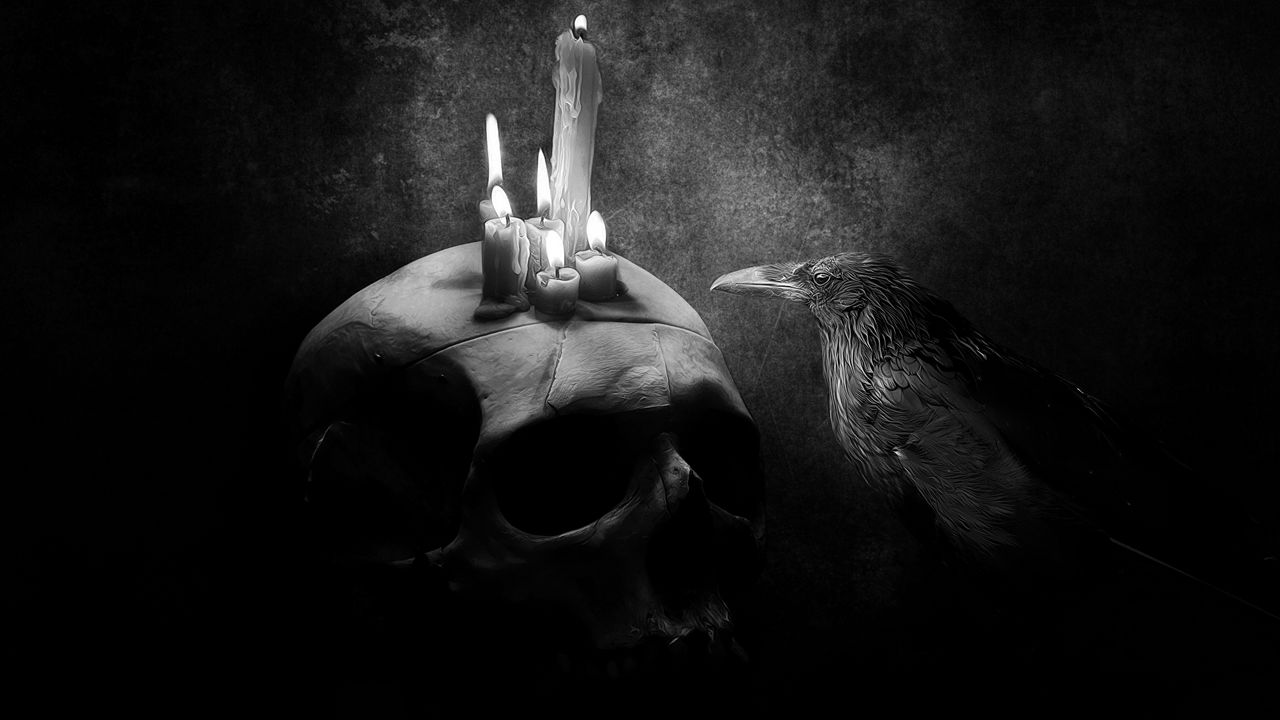 Wallpaper crow, bird, drawing, skull, candle