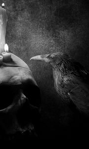Preview wallpaper crow, bird, drawing, skull, candle
