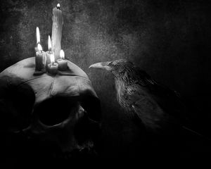 Preview wallpaper crow, bird, drawing, skull, candle
