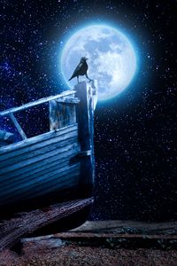 Preview wallpaper crow, starry sky, boat, moon, pebble