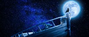 Preview wallpaper crow, starry sky, boat, moon, pebble