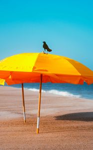 Preview wallpaper crow, umbrella, beach, sea, landscape