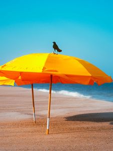 Preview wallpaper crow, umbrella, beach, sea, landscape