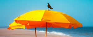 Preview wallpaper crow, umbrella, beach, sea, landscape