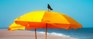 Preview wallpaper crow, umbrella, beach, sea, landscape