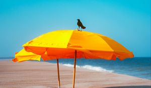 Preview wallpaper crow, umbrella, beach, sea, landscape
