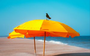 Preview wallpaper crow, umbrella, beach, sea, landscape