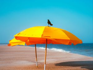 Preview wallpaper crow, umbrella, beach, sea, landscape