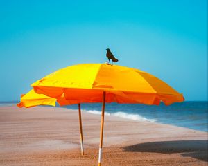 Preview wallpaper crow, umbrella, beach, sea, landscape