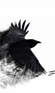 Preview wallpaper crow, wings, bird swing